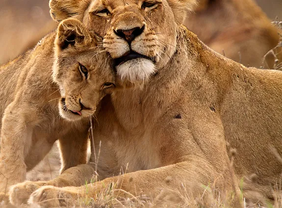 Lake Manyara National Park