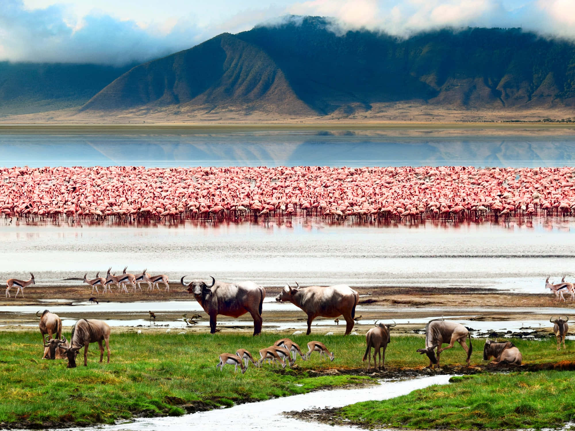 Lake Natron