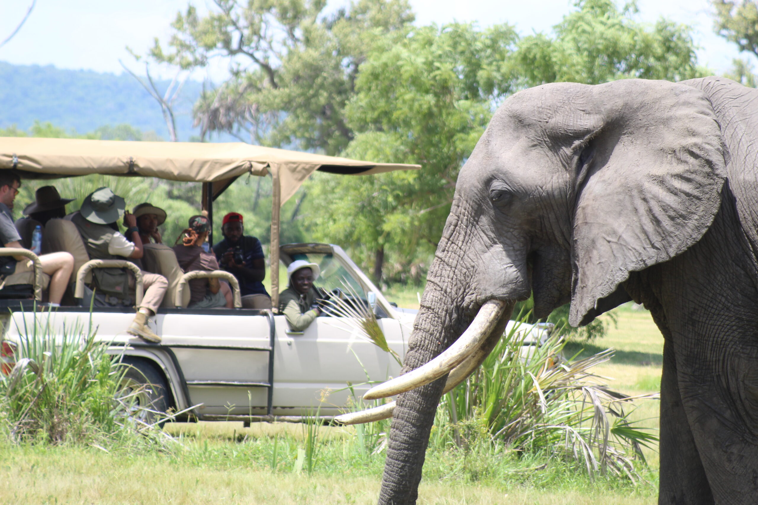 3-Day Zanzibar To Mikumi NP Via Dar Es Salaam