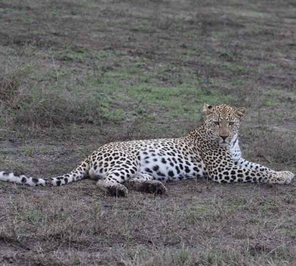 Manyara National Park