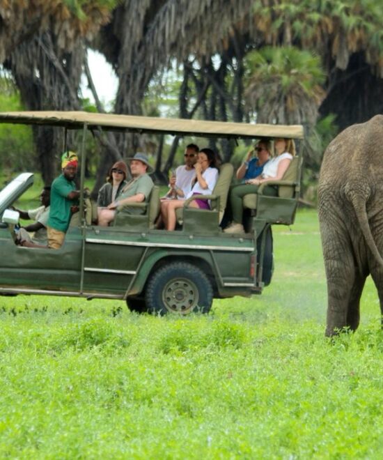 Nyerere National Park