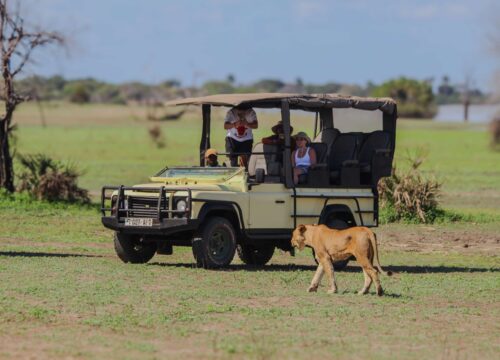 2-Day Fly-In Safari to Selous Game Reserve from Zanzibar