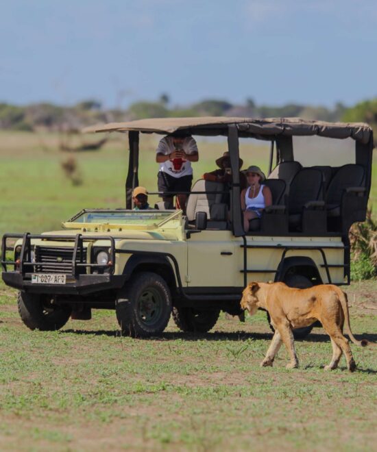 2-Day Fly-In Safari to Selous Game Reserve from Zanzibar