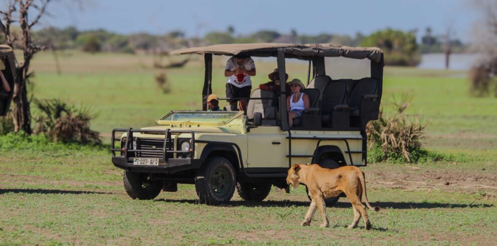 2-Day Fly-In Safari to Selous Game Reserve from Zanzibar